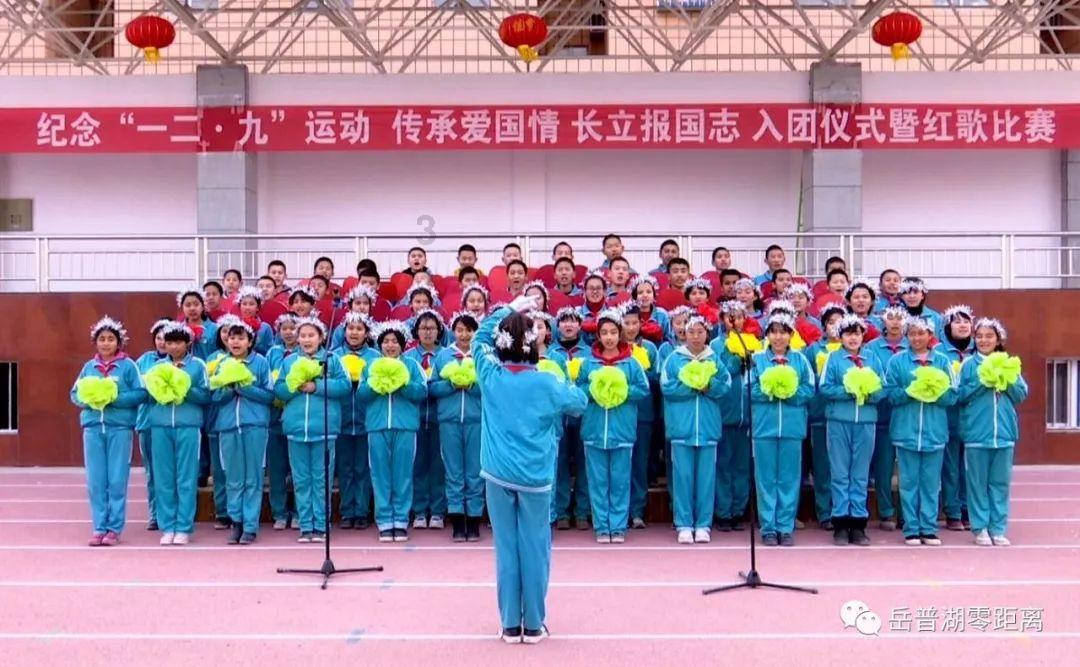 “绿”黄河与白天鹅的生态交响